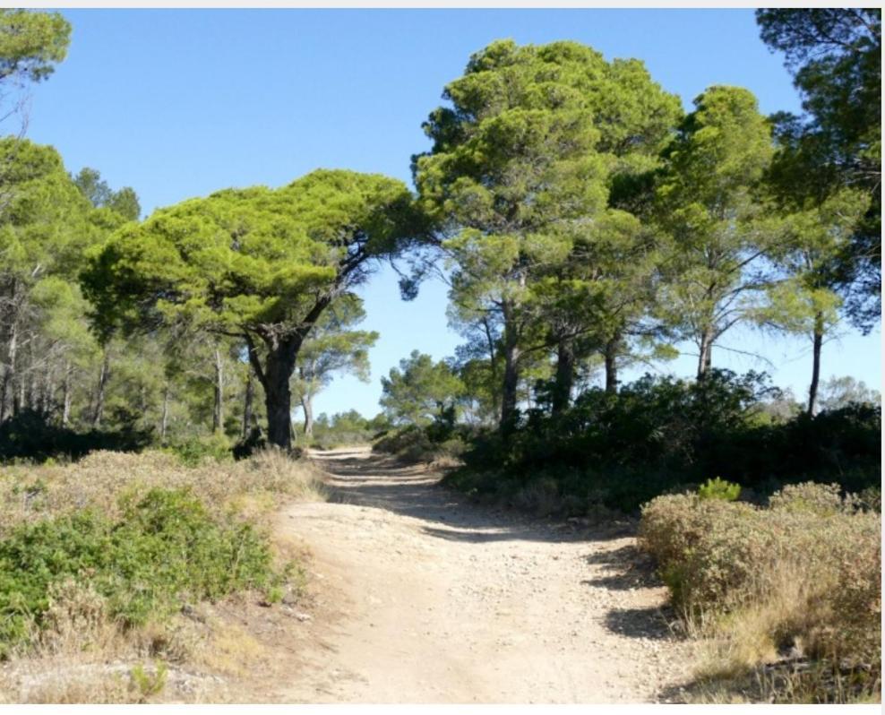 Antiqua Roma Spqr Domus Port-la-Nouvelle Exterior foto